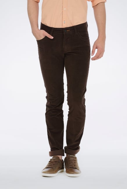 Basics Dark Brown Cotton Trouser Basics Dark Brown Cotton Trouser