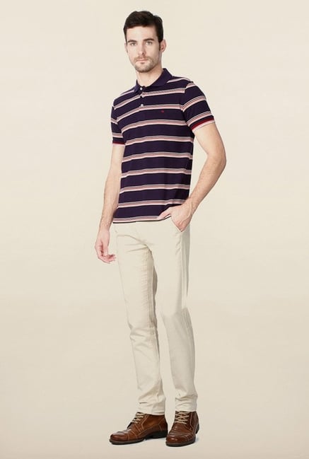 Peter England Purple Striped Polo T-Shirt Peter England Purple Striped Polo T-Shirt