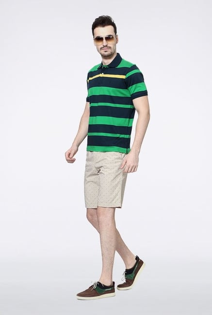 Allen Solly Green & Blue Striped Polo T-Shirt Allen Solly Green & Blue Striped Polo T-Shirt
