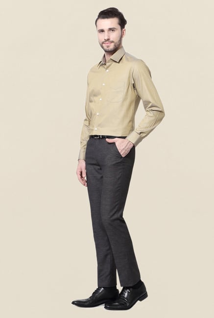 Peter England Beige Cotton Formal Shirt Peter England Beige Cotton Formal Shirt