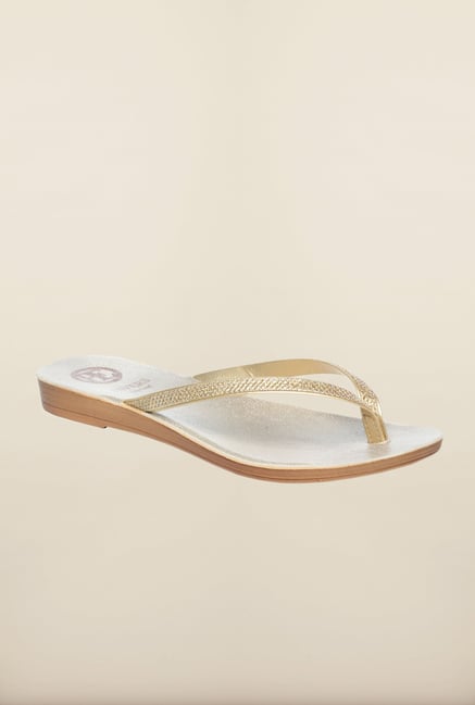 Pavers England Golden Slippers Pavers England Golden Slippers
