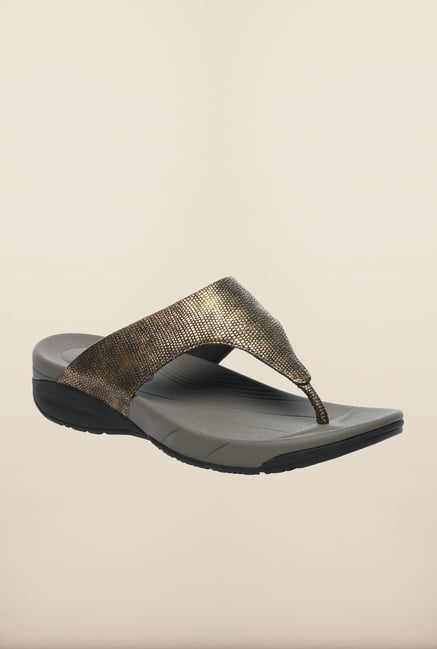 Pavers England Golden Slippers Pavers England Golden Slippers