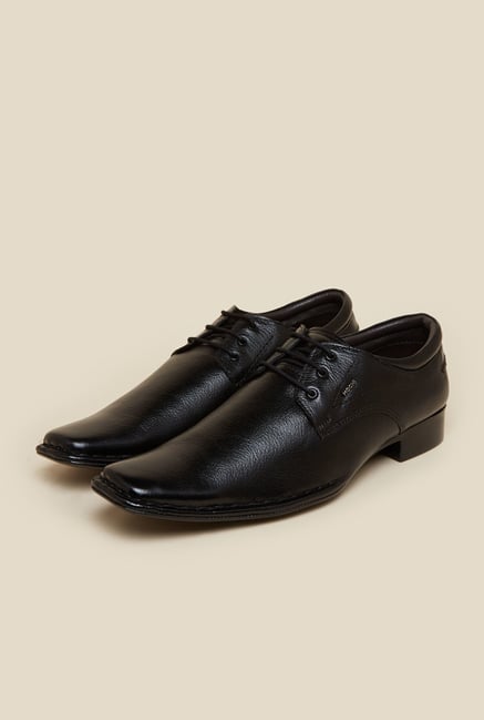 Mochi Black Leather Derby Shoes Mochi Black Leather Derby Shoes