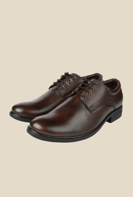 Spunk Zica Coffee Derby Shoes Spunk Zica Coffee Derby Shoes