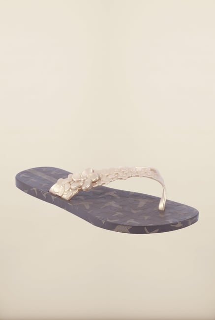 Ipanema Gold & Brown Flip Flops Ipanema Gold & Brown Flip Flops