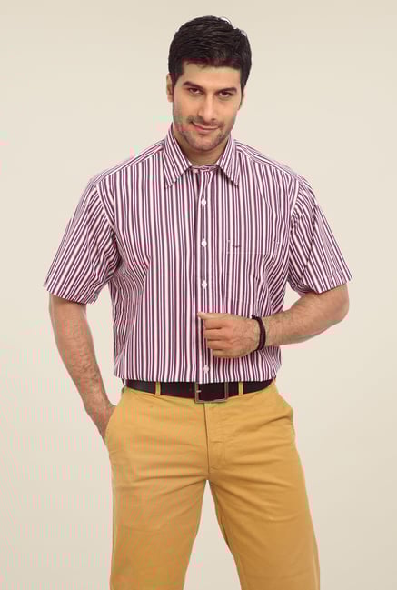 ColorPlus Violet Striped Shirt ColorPlus Violet Striped Shirt