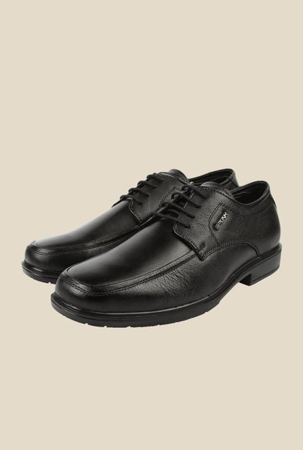 Spunk Swann Black Derby Formal Shoes Spunk Swann Black Derby Formal Shoes
