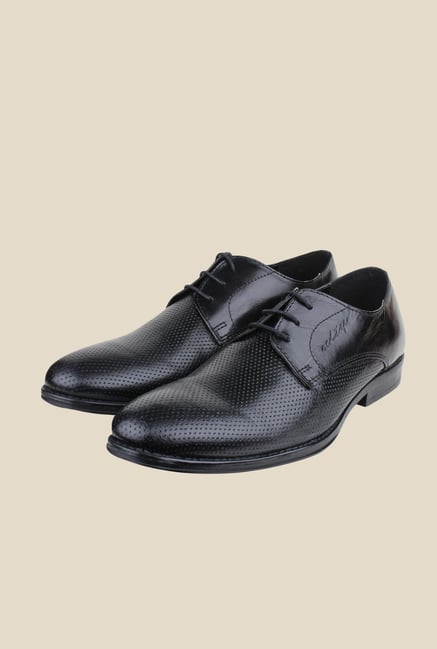 Red Tape Black Derby Shoes Red Tape Black Derby Shoes