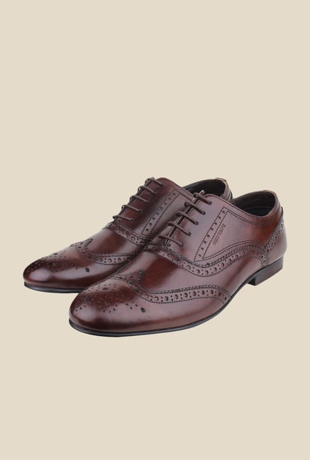 Red Tape Brown Brogue Shoes Red Tape Brown Brogue Shoes