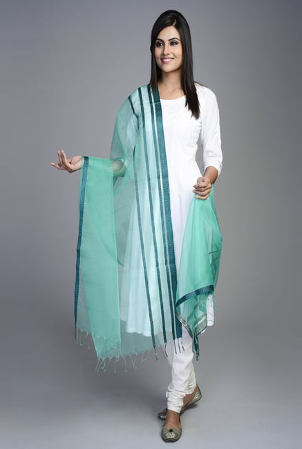 Fabindia Aqua Maheshwari Woven Organza Phool Dupatta Fabindia Aqua Maheshwari Woven Organza Phool Dupatta