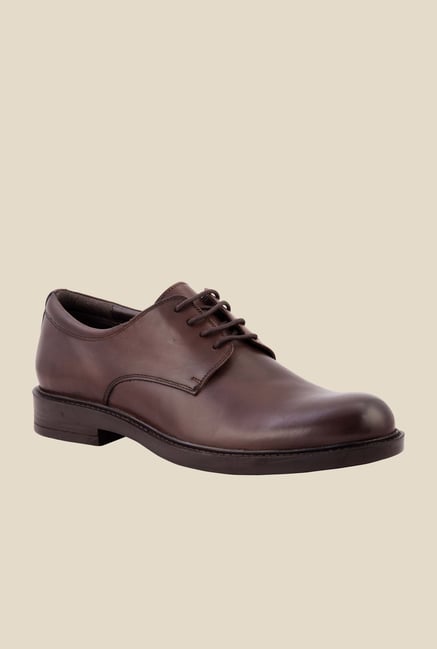 Salt 'n' Pepper Antartic Brown Derby Shoes Salt 'n' Pepper Antartic Brown Derby Shoes