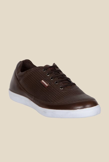 Provogue Brown & White Plimsolls Provogue Brown & White Plimsolls