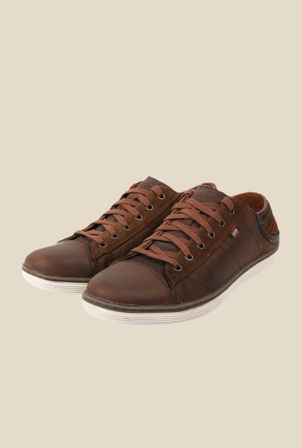 Skechers Pantalone Brown Sneakers Skechers Pantalone Brown Sneakers