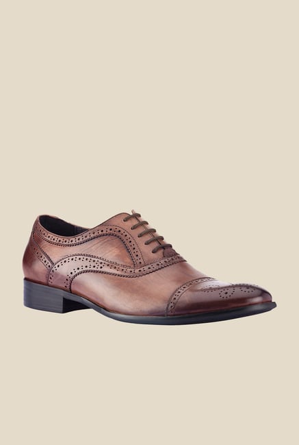 Tresmode Bogano Brown Brogue Shoes Tresmode Bogano Brown Brogue Shoes