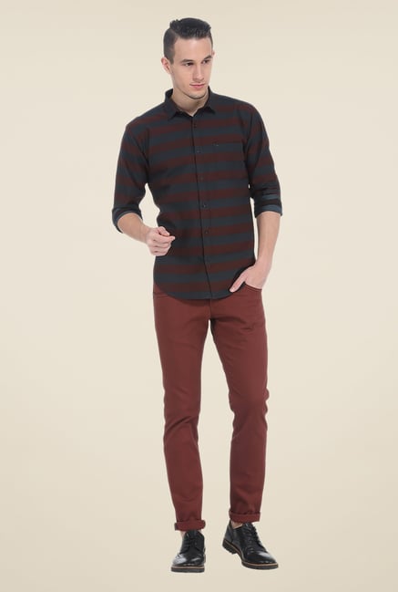 Basics Brown Solid Elastane Skinny Fit Chinos Basics Brown Solid Elastane Skinny Fit Chinos