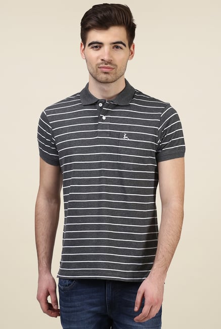 Parx Dark Grey Cotton Regular Fit Polo T-Shirt Parx Dark Grey Cotton Regular Fit Polo T-Shirt