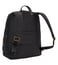 Tumi Voyageur Halle Black Backpack