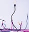 Ajji Black Bent Decorative Lights
