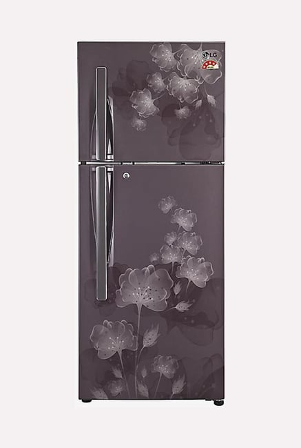 LG GL-F282RGFL 255 L Double Door Refrigerator (Graphite Florid) LG GL-F282RGFL 255 L Double Door Refrigerator (Graphite Florid)