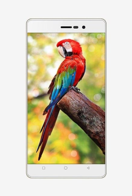 Karbonn S205 2 GB Dual Sim 16 GB (White & Gold) Karbonn S205 2 GB Dual Sim 16 GB (White & Gold)