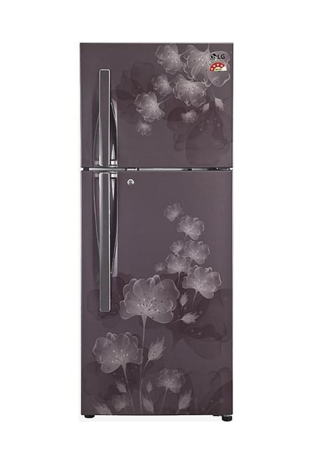 LG GLI 302 RGFL 284 L Refrigerator (Graphite Florid) LG GLI 302 RGFL 284 L Refrigerator (Graphite Florid)