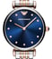 Emporio Armani AR11092 Women Watches