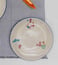 Nicobar Multicolour Nancowry Monkey Dinner Plate