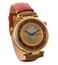 Jaipur Watch Company IARD01 Imperial II Automatic Wrist Watch for Men