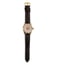 Jaipur Watch Company KWW02 King's Wrist Watch for Men