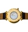 Jaipur Watch Company IABK01S Imperial II Automatic Wrist Watch for Men