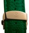 Jaipur Watch Company IAGN01S Imperial II Automatic Wrist Watch for Men