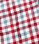 Brooks Brothers Red Fleece Slim Fit Red & White Twill Gingham Sport Shirt