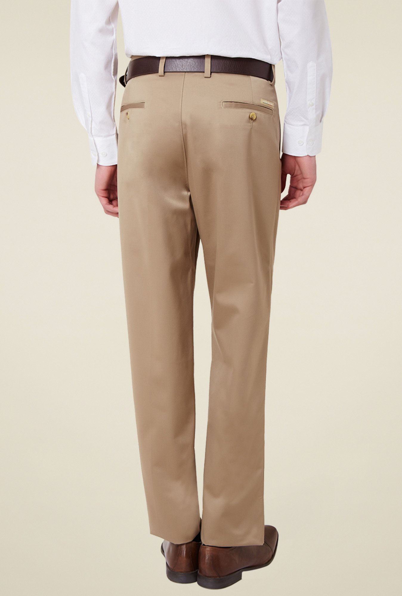 Buy Men Beige Textured Slim Fit Formal Trousers Online - 403745 | Peter  England