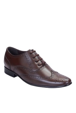 Dark Brown Brogue Shoes Image