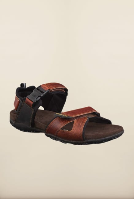 Buy Woodland Sandals For Men ( Multi-Color ) Online at Low Prices in India  - Paytmmall.com