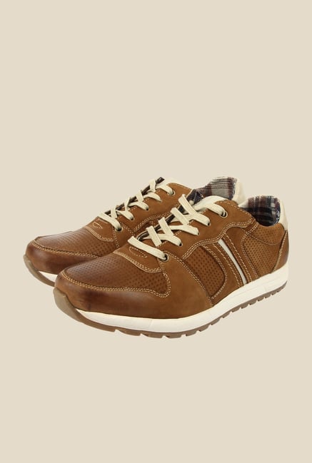 spunk joggers price