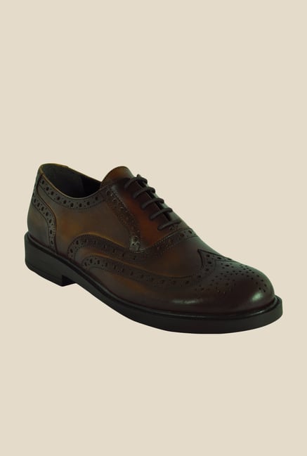 Salt 'n' Pepper Antartic Brown Brogue Shoes
