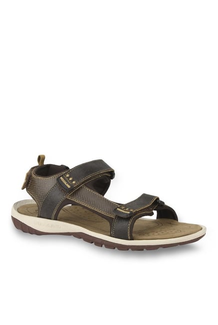 Buy Woodland Woodland Men One Toe Textured Comfort Sandals at Redfynd