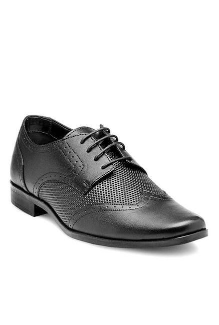 Franco Leone Men's Black Brogue Shoes