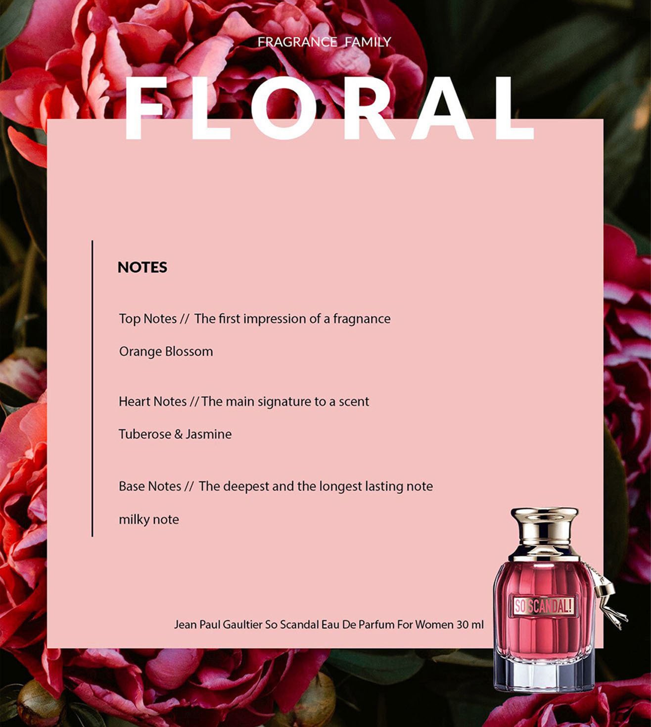 So scandal perfume online notes