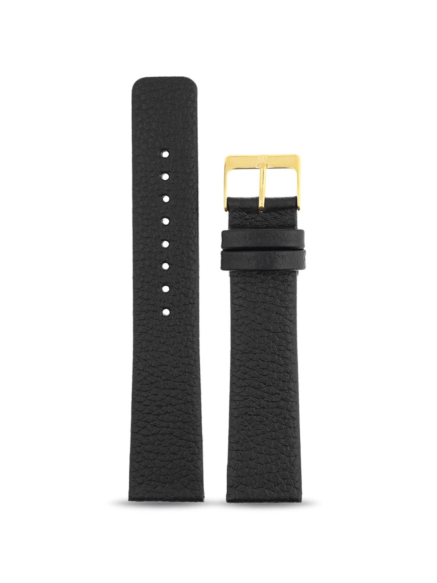 Titan watch best sale belt black