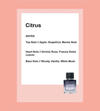 Inuka perfume online names