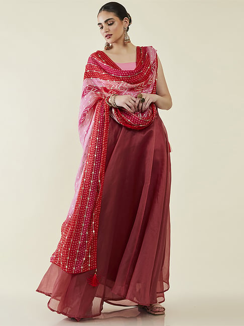 Soch Pink & Red Embellished Dupatta