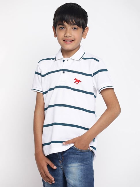 Polo t store shirts for boys