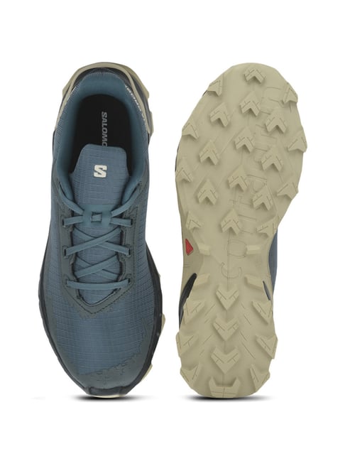 Salomon Men's XA Pro 3D v8 Trail Grey Running Shoes