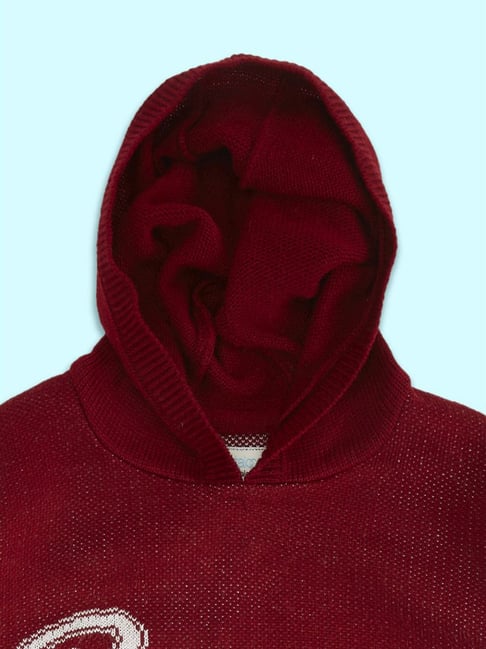 Athletic Wear Red Champion Hoodie Youth Kids Clothes Boys Champion