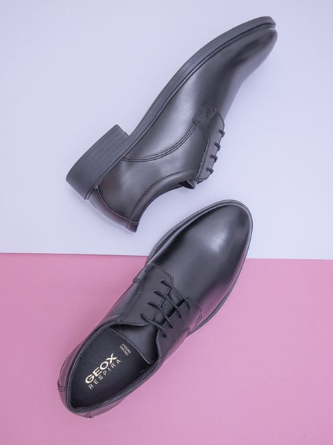 Dormitorio Subproducto No de moda Buy Geox Men's U Gladwin Black Derby Shoes for Men at Best Price @ Tata CLiQ