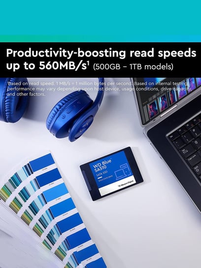 Buy Western Digital WD Blue SA510 SATA 1TB, (SSD) Online At Best