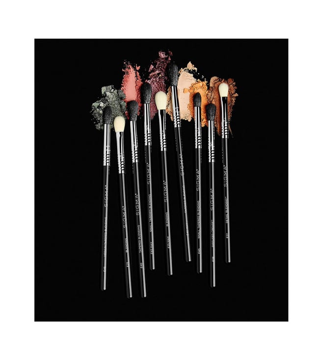 Sigma Beauty Deluxe Blending Brush Set