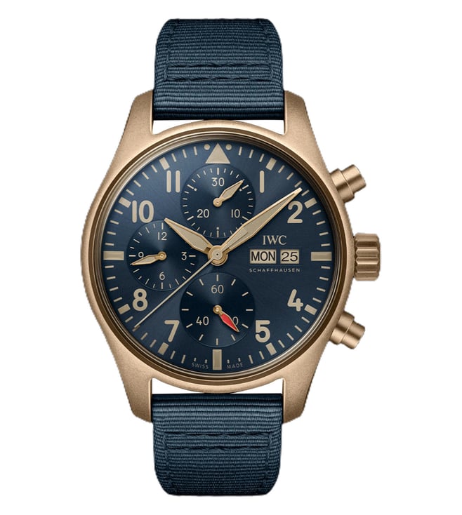 IWC – WatchGuyNYC